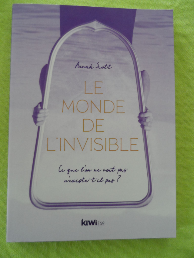 Le monde de l'invisible : Ce que l'on ne voit pas n'existe-t-il pas ?