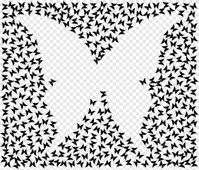 Les clès du dessin : dessiner par le "vide", les espaces négatifs. (Dimanche 04/10/2026)