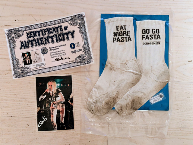 Carol's socks / from JAPAN TOUR 2023