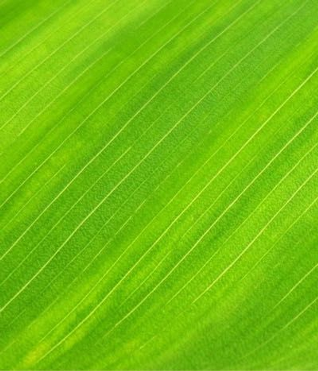 3 x One Hour Pass..............................In-studio 