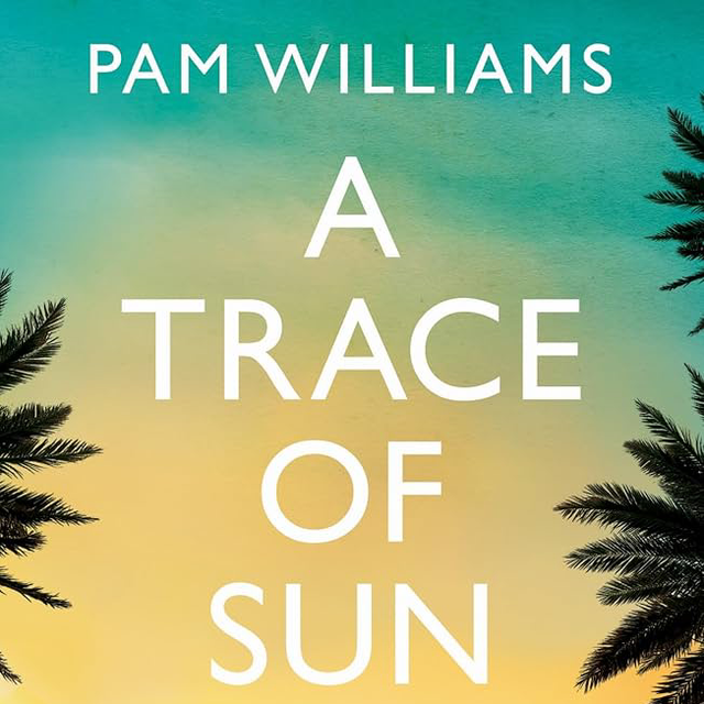 A Trace of Sun | Pam Williams