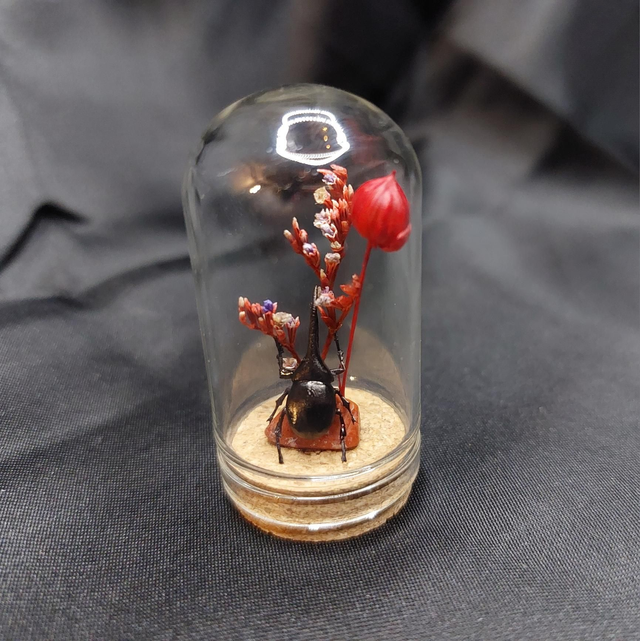 Mini-cloche scarabée rouge