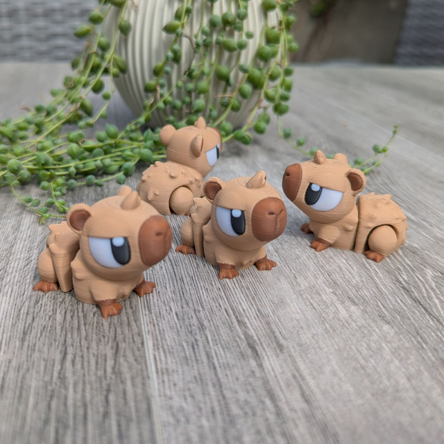 Capibara