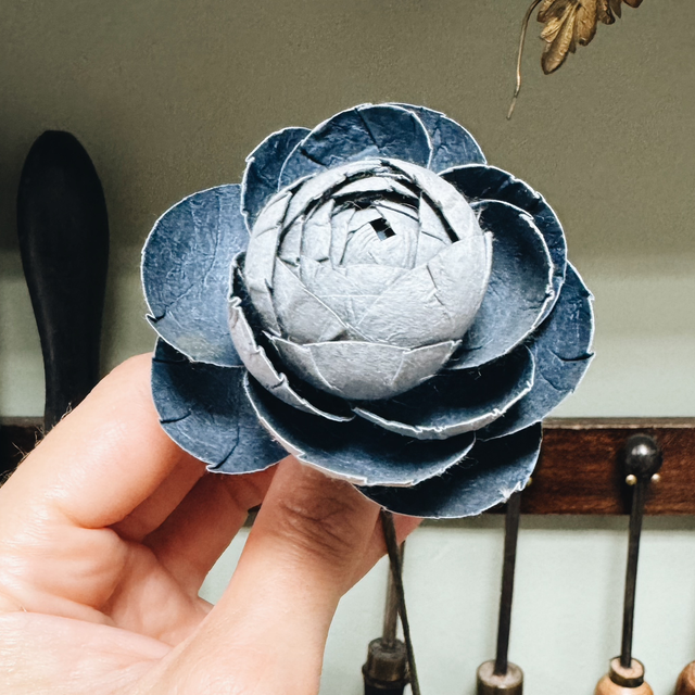 RENONCULE BLEU MARINE / BLEU CLAIR