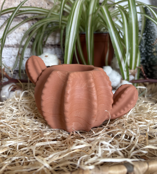 Vase Cactus pour fleurs séchées en Jesmonite : Terra cotta 