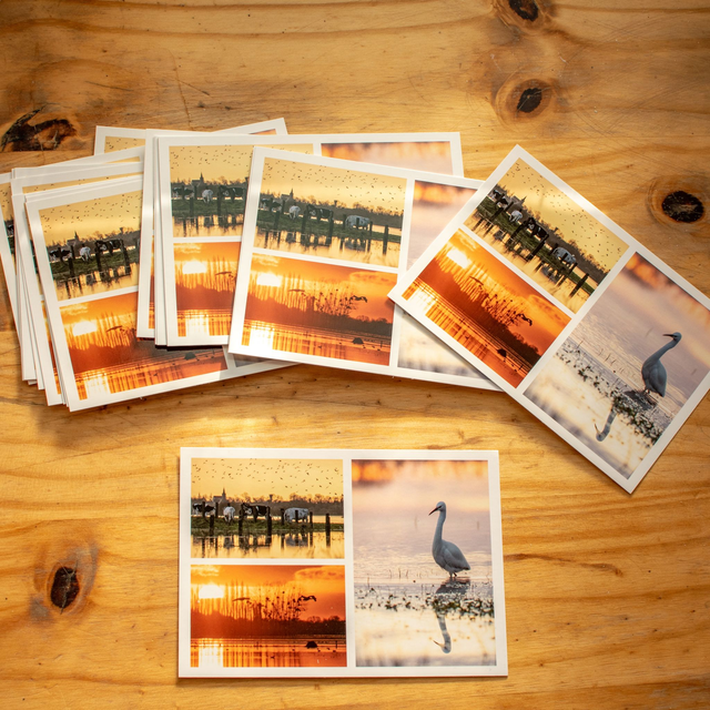 Carte postale &quot;Marais du Cotentin&quot;