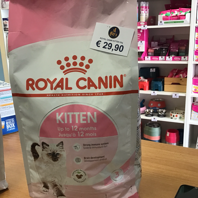 ROYAL CANIN KAT KITTEN 2KG 12 Months 