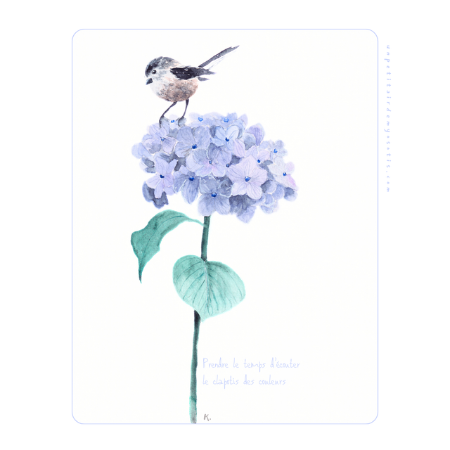 Carte-poème Hortensia et orite "Prendre le temps d’écouter le clapotis des couleurs"