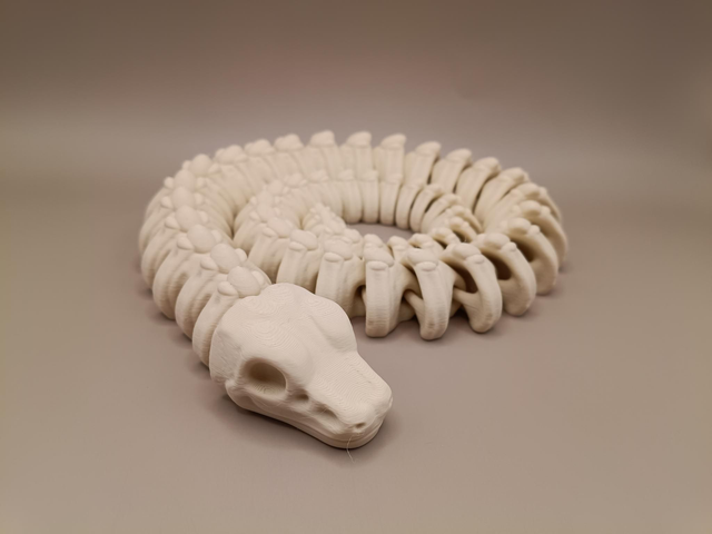 Zou snake skeleton 