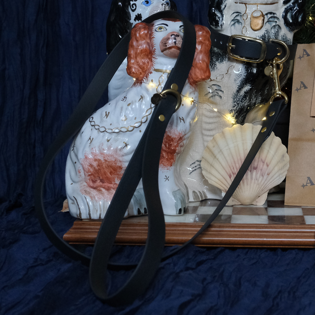 Noir — Laisse unie imperméable 120cm — URSA MINOR