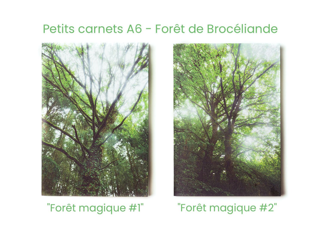 Lot de carnets de notes format poche A6