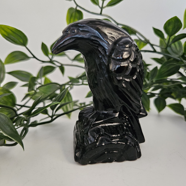 Obsidian Crow/Raven on a log