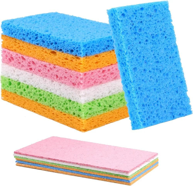 Compostable sponge (each)