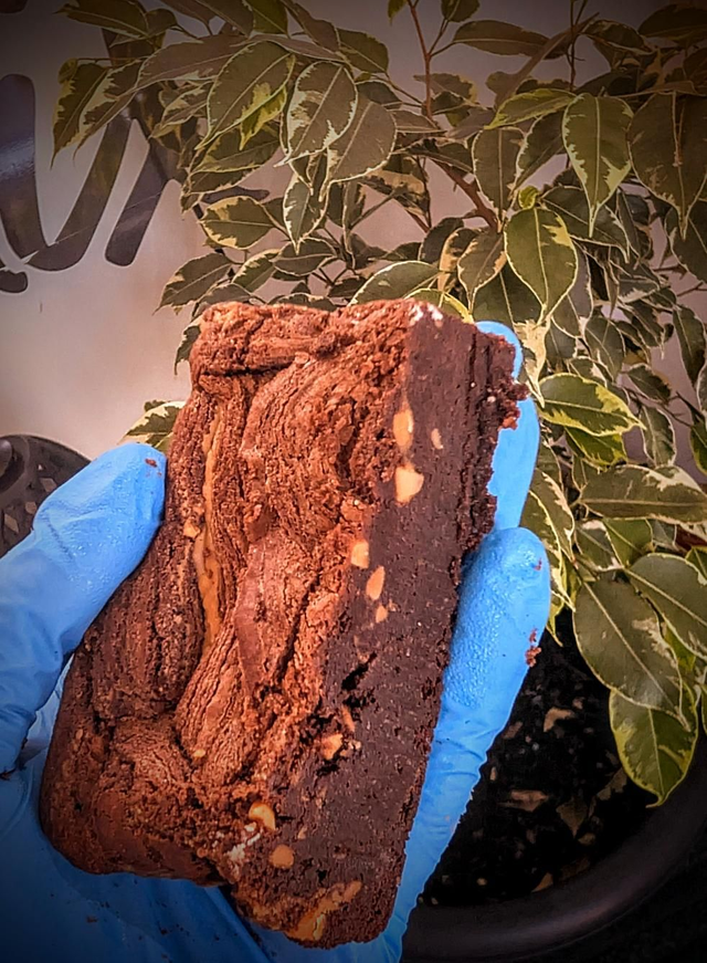 Peanut butter Brownie