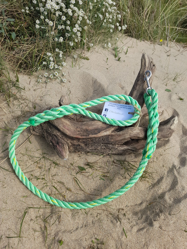 Dog Lead - Charlestown