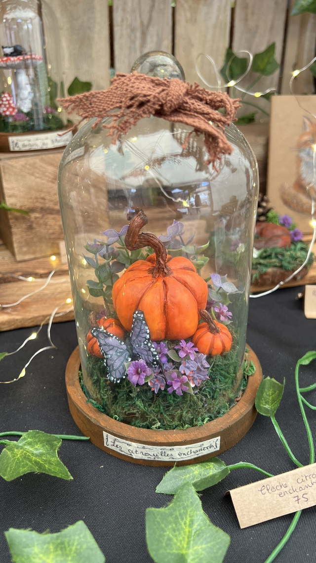 Citrouilles enchantées 