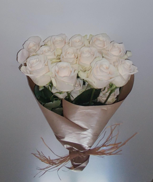 Rosas  Branco Pérola