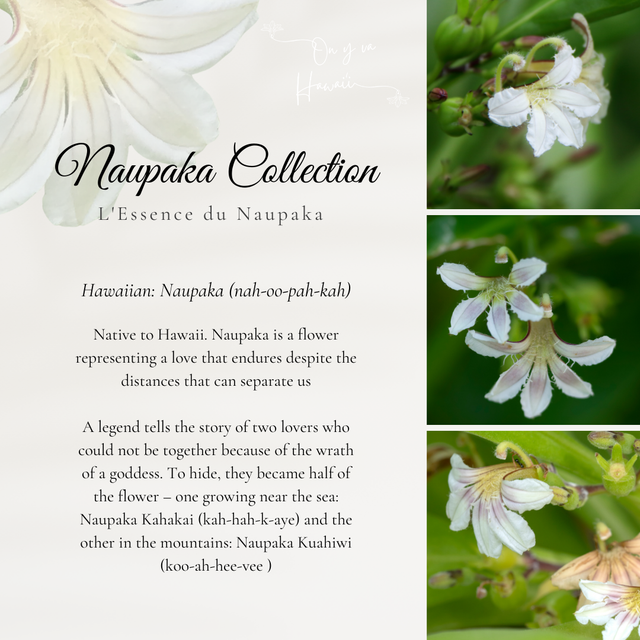 Boucles d'oreilles en Bois / Wood Earrings - Naupaka Kahakai