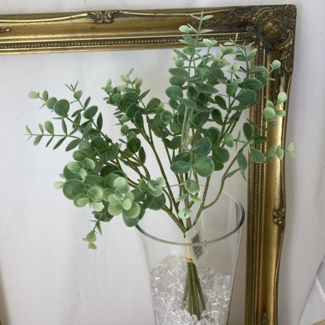 Eucalyptus (Bundle) Green