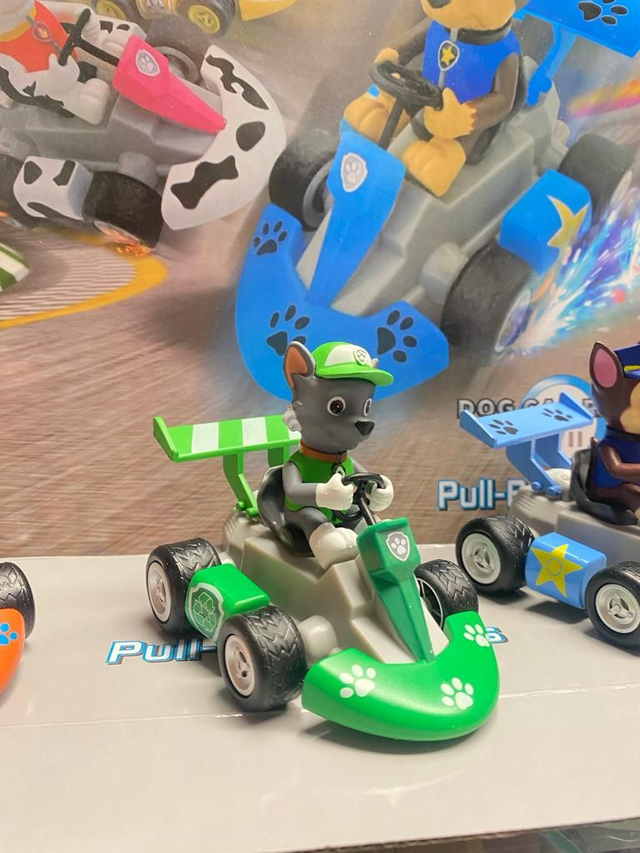 Paw patrol, GO cart retrocarica  Rocky