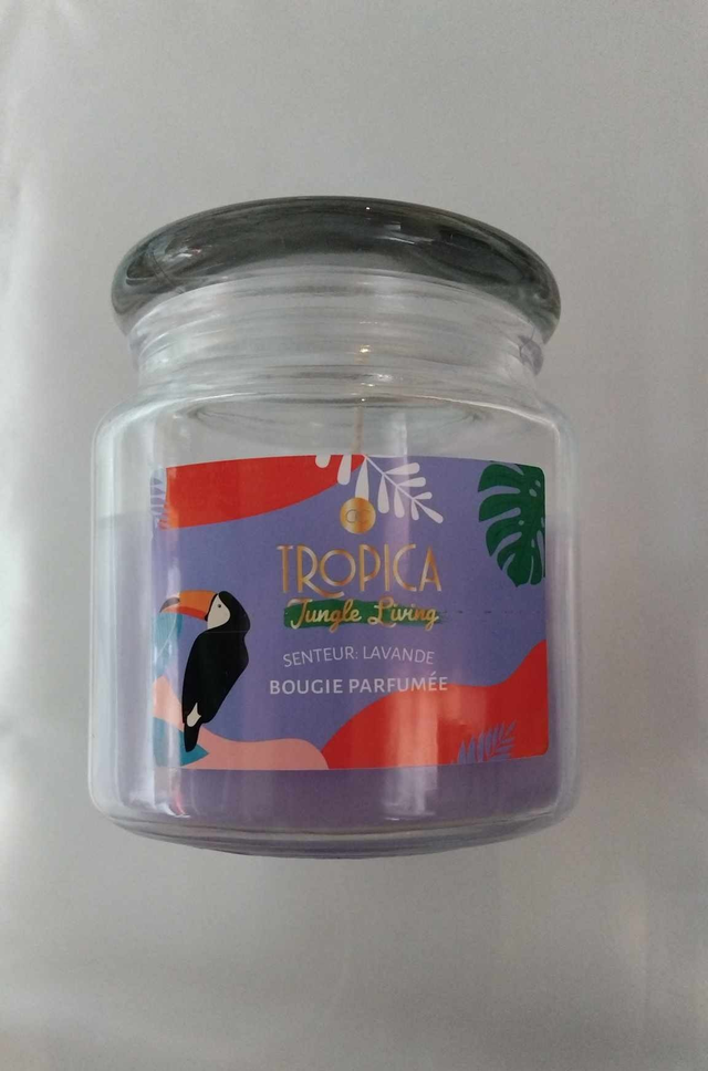 Bougie  parfumée TROPICA 