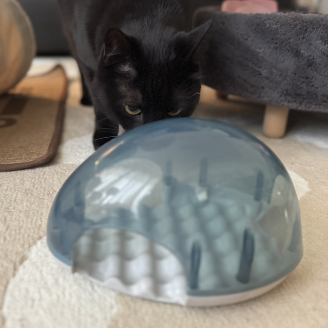 Slow Feeding Dome Trixie 