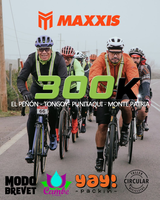  Modo Brevet 300K 🌵 PREVENTA