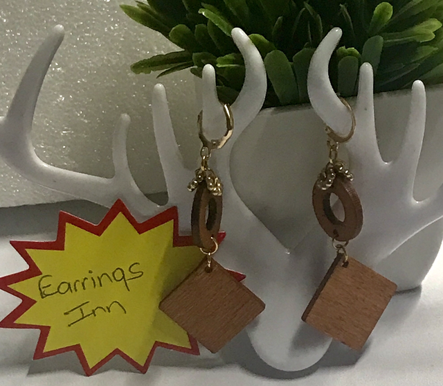Brown Wood Dangling Earrings - SWDE100