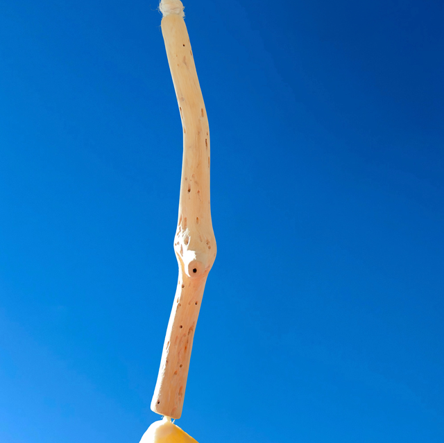 Mobile côtier 1 guirlande de 20 patelles et 1 drôle de bois flotté