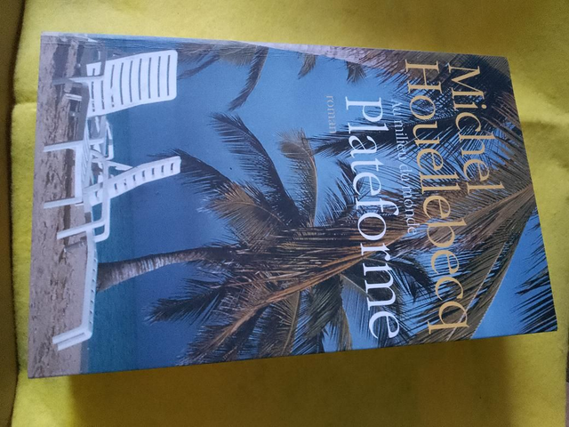 Au milieu du monde, Plateforme, Michel Houllebecq