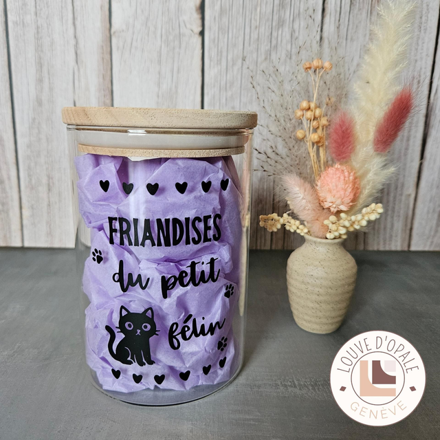 Bocal - Friandises chat