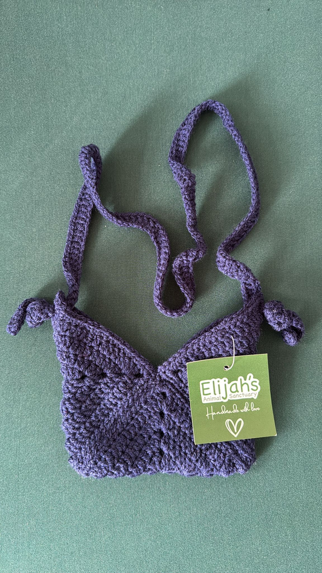 Dark Purple Small Shoulder Bag