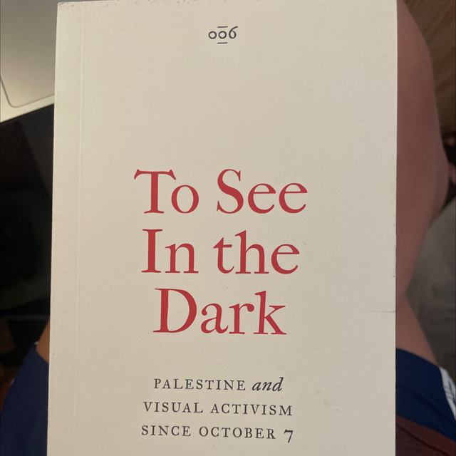 To See In The Dark Nicholas Mirzoeff