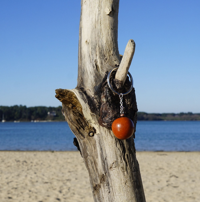 Graine Marron