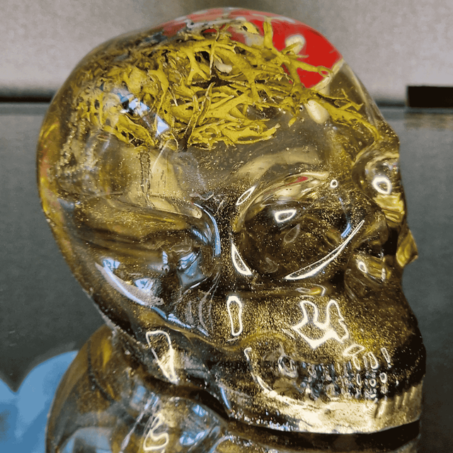 TETE DE MORT DUO CHAMPIS