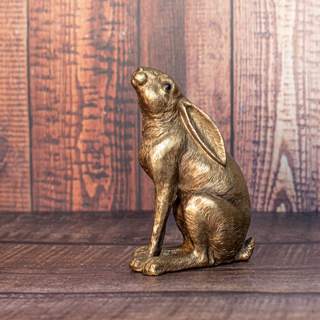 Gazing Hare