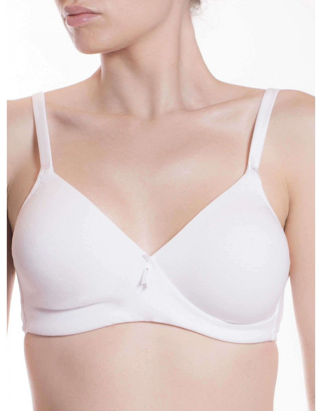 REGGISENO 355 INCROCIATO BELSENO LEPEL