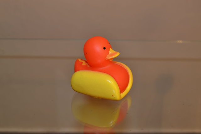 Canard bateau