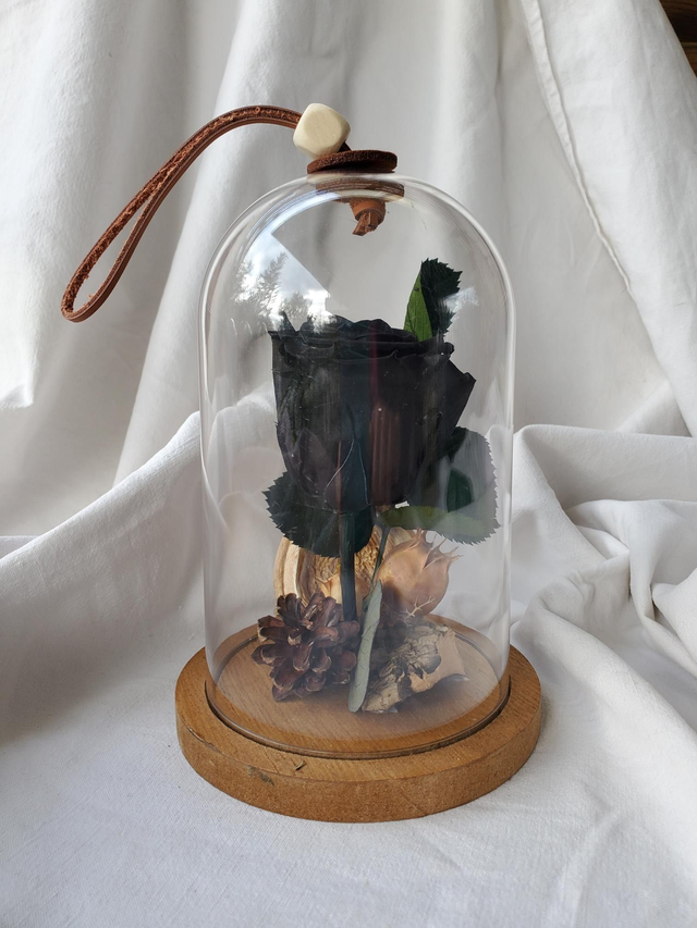 S02 Rose noire sur tige