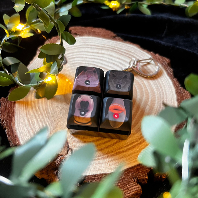 Llavero tecla con luces de animales llamada - 4 teclas