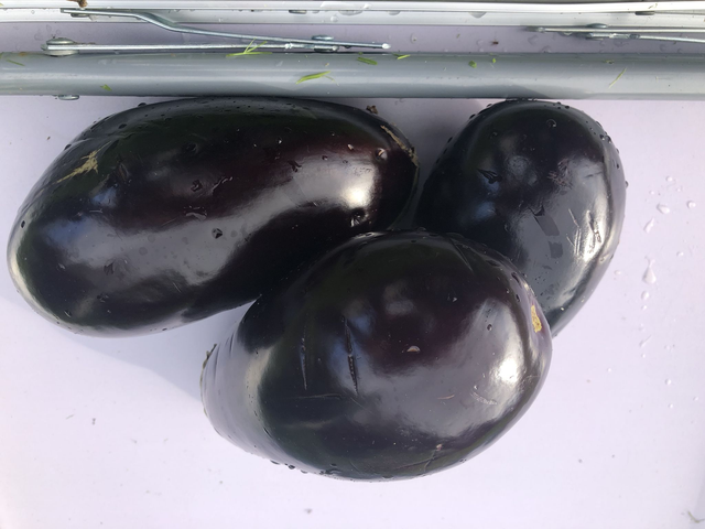 Aubergines - per pair