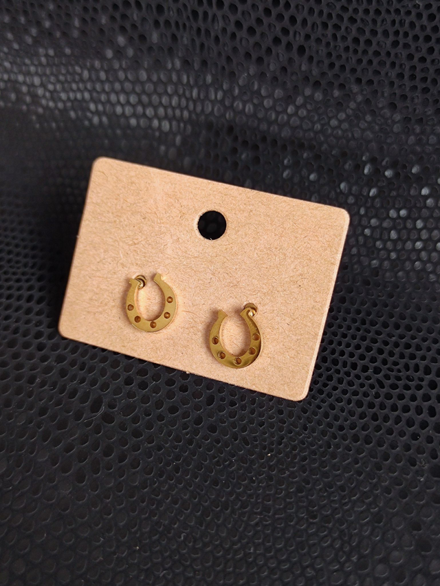 Edelstahl Ohrstecker | Hufeisen | Gold