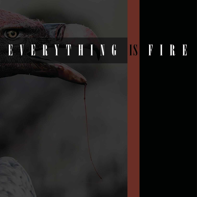CD - Everything is Fire (Jewel Case)