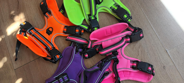 Neon harness and lead sets 
