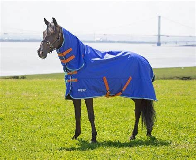 Shires Tempest Original 50 Combo Turnout Rug