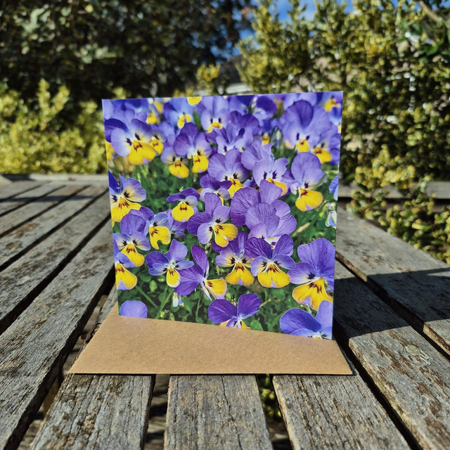 Viola greetings card