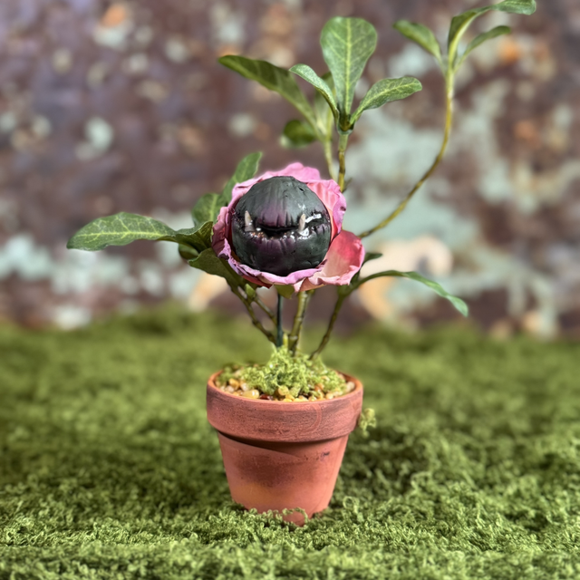 17.🌸 Specimen: The Fangblossom