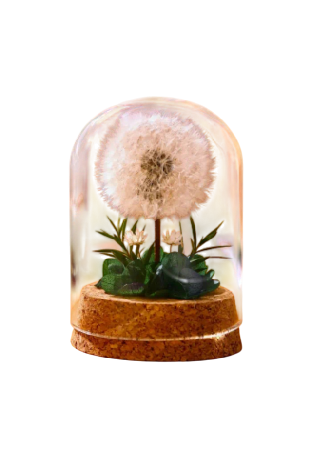 Ewige Pusteblume