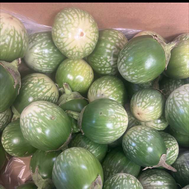 Eggplant มะเขือเปราะ