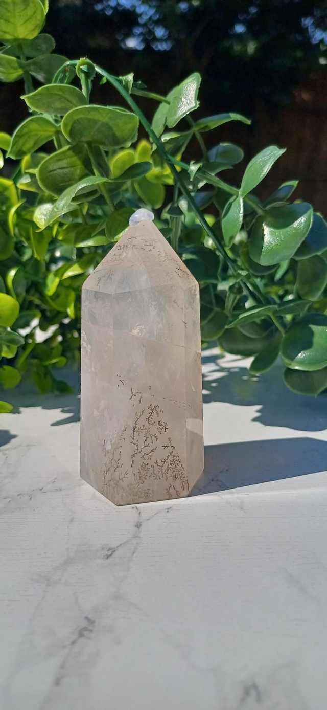 Dendritic Garosil Quartz 5 (112g)